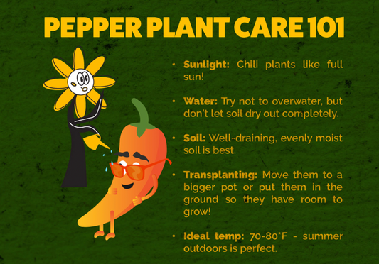 Congrats, you're a new pepper plant parent!